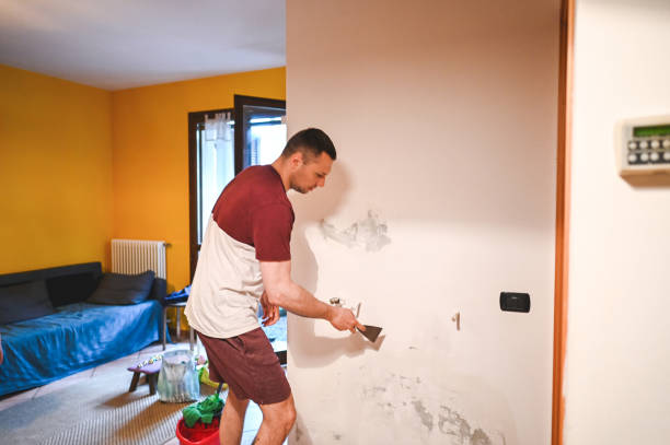 Best Industrial Mold Remediation in Manatee Road, FL